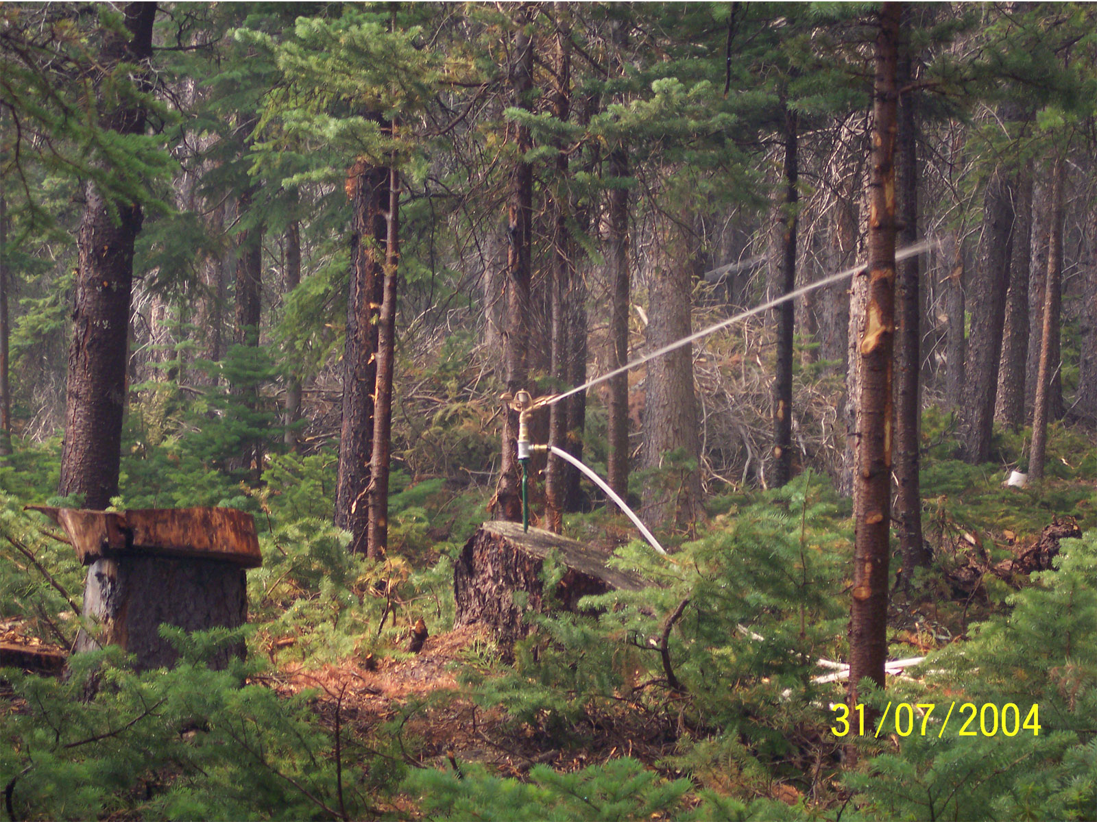 Spiedr Image Five
